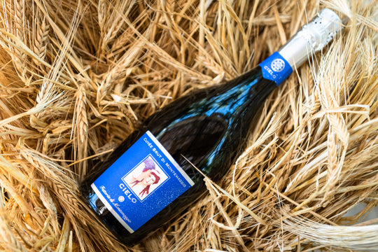 Sparkling vs. Semi-Sparkling Wines
